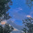 @user-qb6dg9lq2b