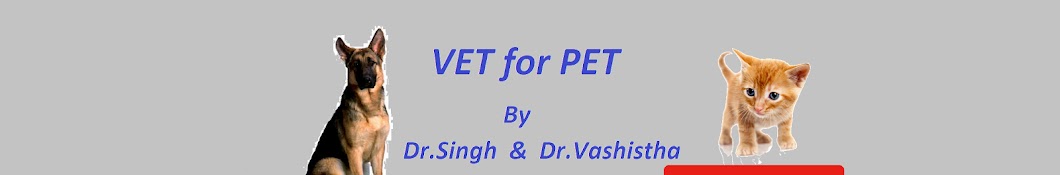 VET For PET Avatar de canal de YouTube