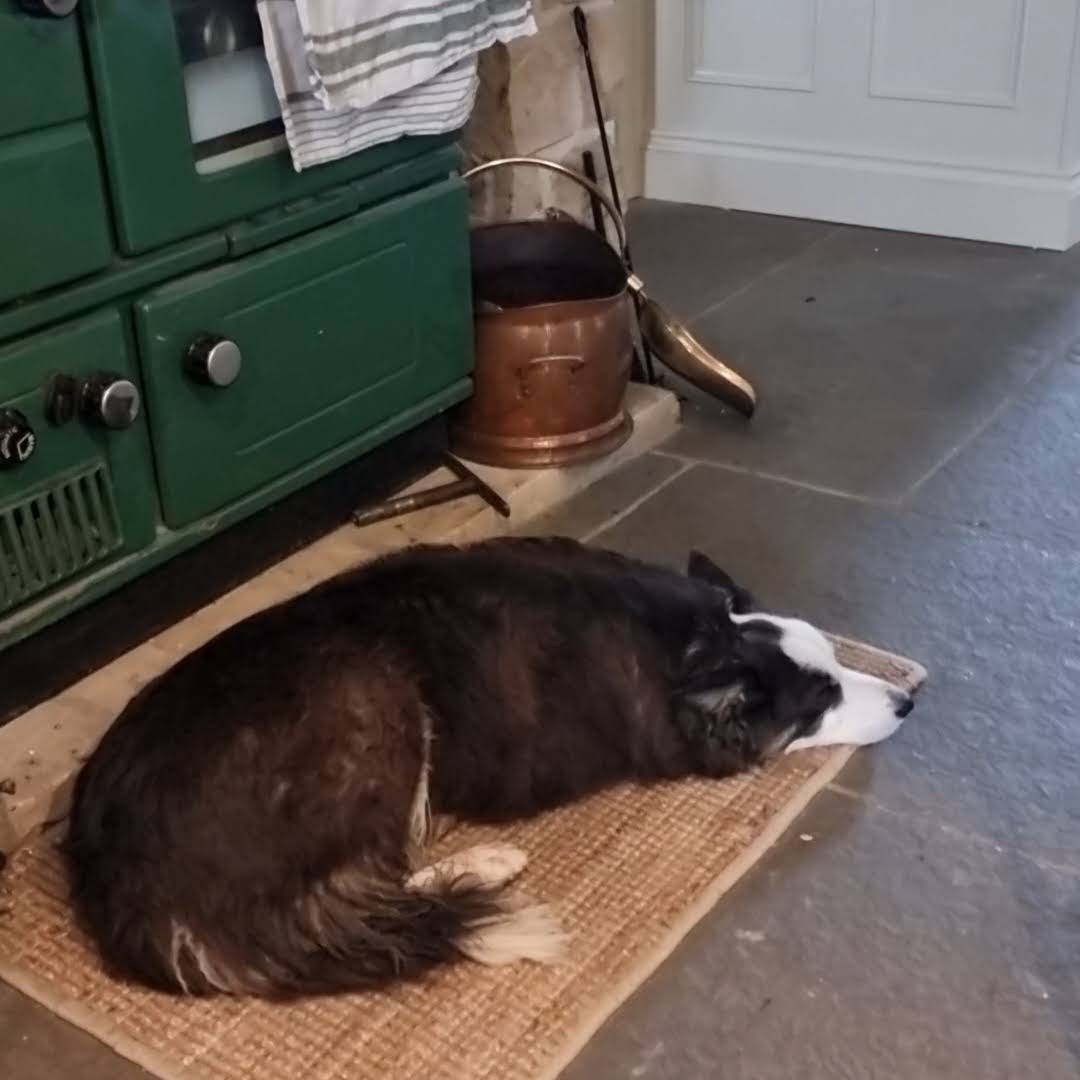 Post from The Irish Homestead