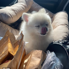 黒澤おもち先生アイコン画像