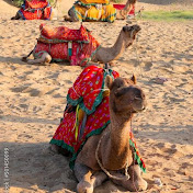 Desert Wonders