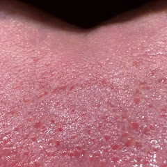 Mawlifeアイコン画像