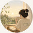 tve-otSDXCk-channel-avatar-The Dreamy Days