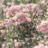 @غآده-97