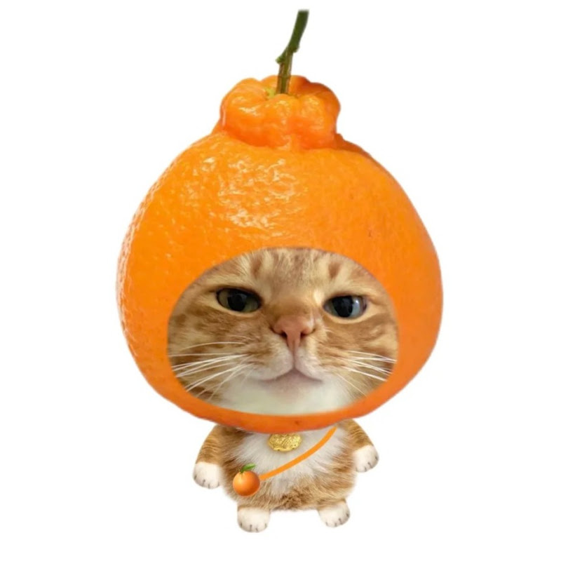 SPIDDAC