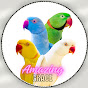 Amazing Grace - Pets! logo