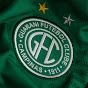 Guarani Notícias logo