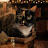 @BubblesTheCat1 Avatar