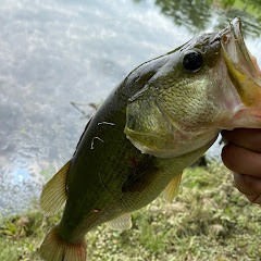 TheRealFishingKings