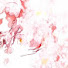 zSYIcaIoY34-channel-avatar-Pengu_Kiwis