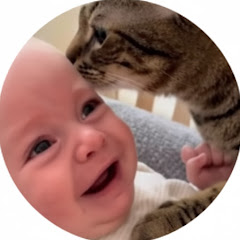 Baby and tabby kitten #cat #baby #happyday #生成AIアイコン画像