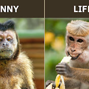 FUNNYLIFE