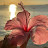 @RafeefMohammad-l1y
