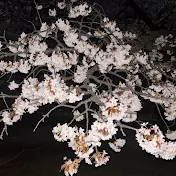 昼3時まで寝てたい