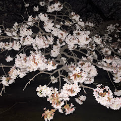 昼3時まで寝てたい