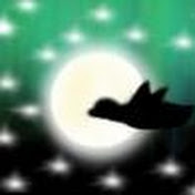 MidnightDuck