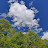 @dennisdronevids1