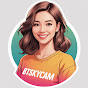 btskycam logo