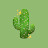 @Chaotic-Cactus