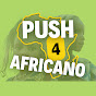 Push for African Development  logo