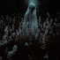 FXRsY81msZ4-channel-avatar-Twisted Horror Files