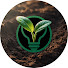 Fv6RxX3yr2k-channel-avatar-Jardinage Intelligent
