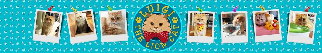 Luigi The Lion Cat YouTube channel avatar