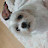 @철수김-v3g