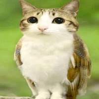 SandroDavid_YT profile image