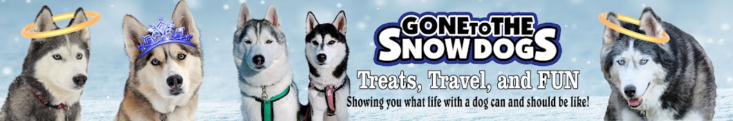 Gone to the Snow Dogs YouTube kanalı avatarı