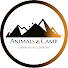 0i8ZpPgEf3s-channel-avatar-Animals Camp