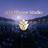 hNdJkHVlg-8-channel-avatar-Bellflower Studio