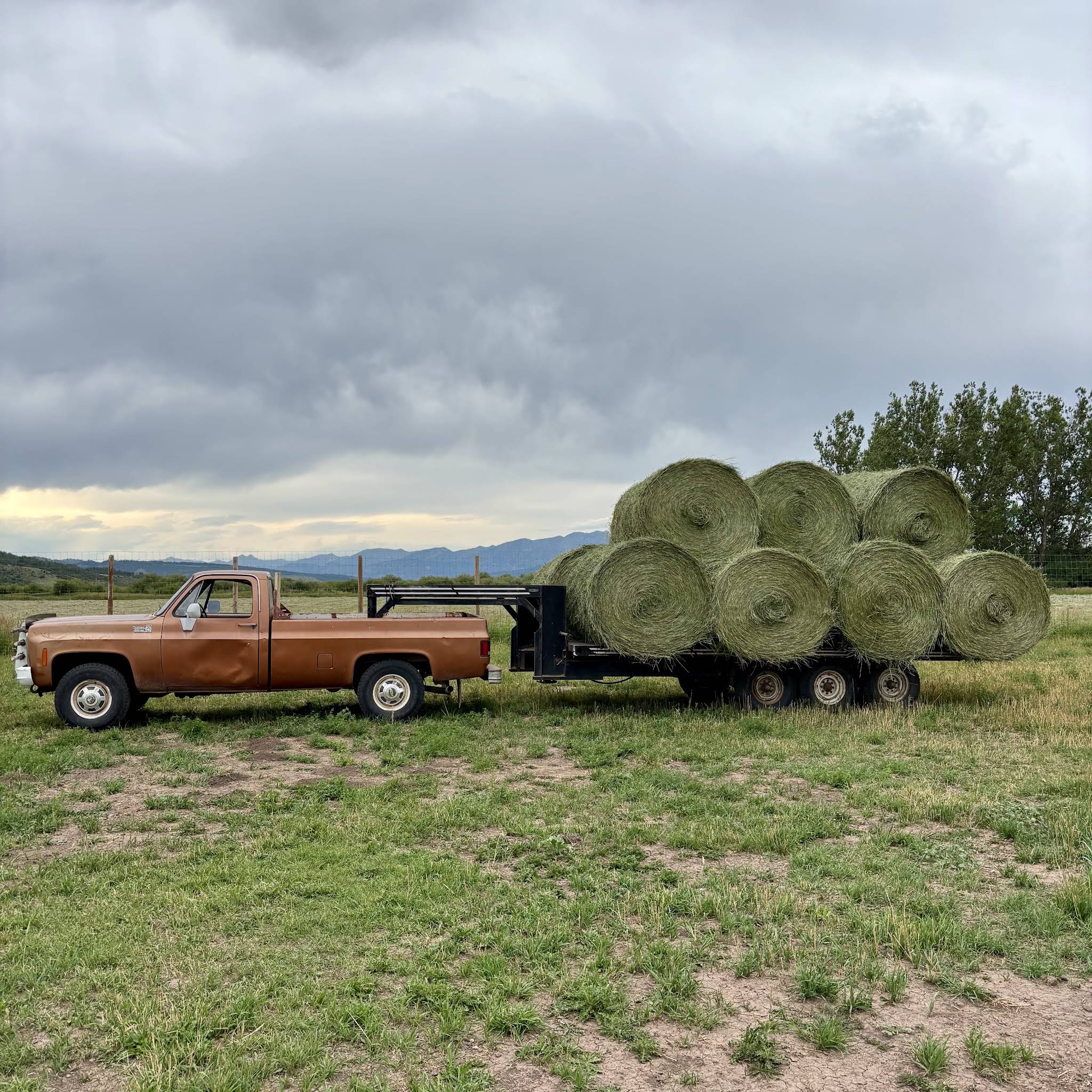 Post from Luthi Ranch