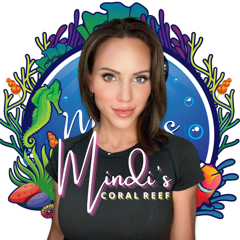 Mindi's Coral Reef