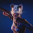 tj-H7gLJj38-channel-avatar-Ty13r