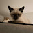 @Alexander161-q1r