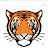 Tiger University