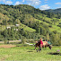 VdbQ9xCjU7A-channel-avatar-Mountain Haven: Carpathian Village Life