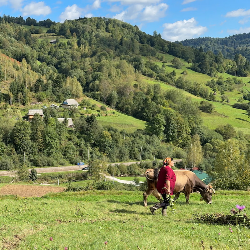 Mountain Haven: Carpathian Village Life