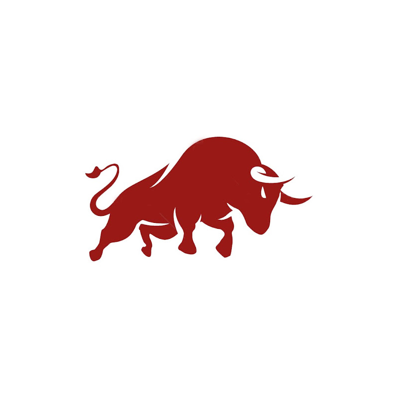 Bull Pro Media 