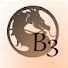 e78KHKyAW_0-channel-avatar-Tillgorn Budokai 3 Tv