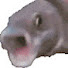 rZqEvqHevuo-channel-avatar-AFilthyCasual