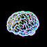 Jd3pc1f3oYk-channel-avatar-Fuzz Brain