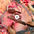 1r9cYjj2P6E-channel-avatar-Meat Industries 
