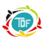 The Democracy Forum logo
