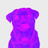c1Brqr_hCgg-channel-avatar-TyFrom99