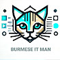 Burmese Stack logo