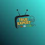 True Expert India logo