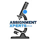 Assignment Xperts logo