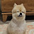 @노히히-e5y